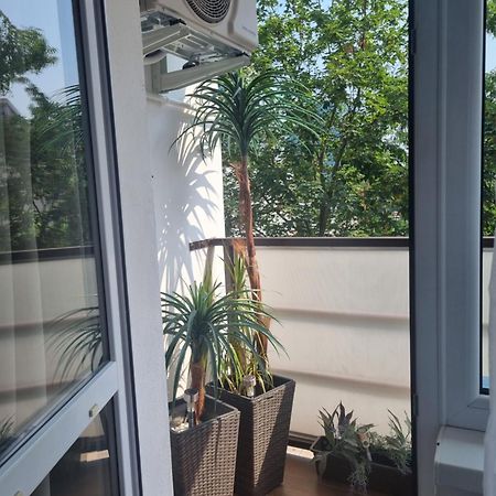 Apartman-Florianska Košice Buitenkant foto